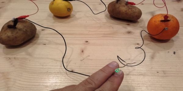 Science Experiments with Household Items